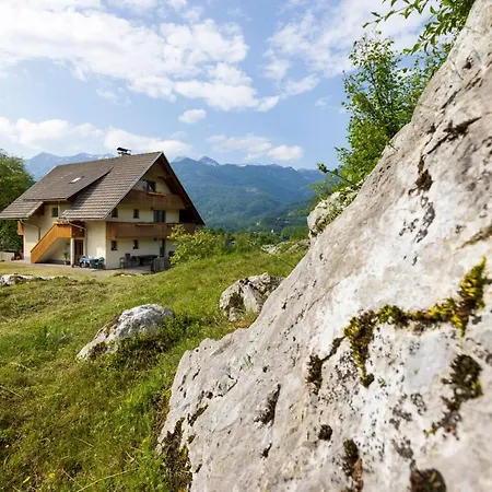 Apartmaji Pr' Brdarju Apartamento