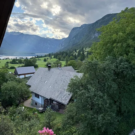 Apartmaji Pr' Brdarju Apartman *