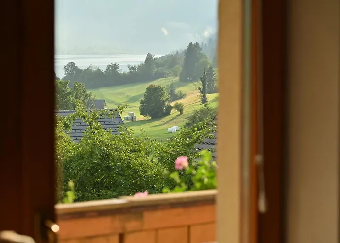 Apartmaji Pr' Brdarju Daire